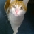 kater22