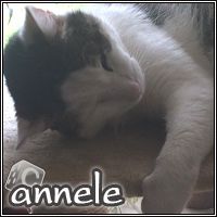 annele